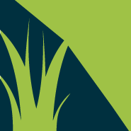 Alpharetta Sod Installers