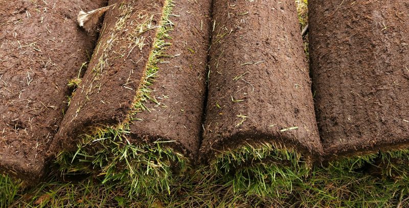 Bahia Sod Installation