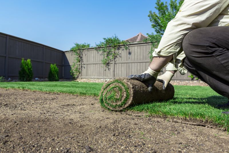 Fescue Sod Installation