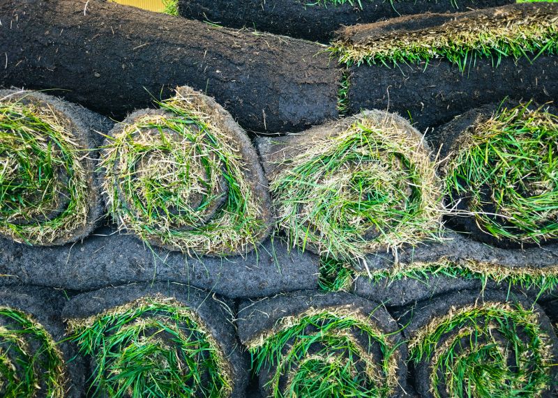 Commercial Sod Installation detail