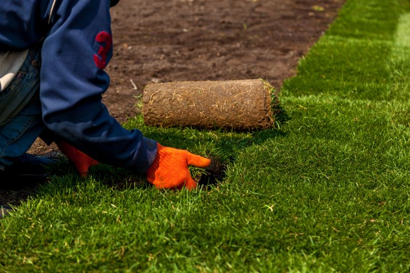 Sod Laying Service detail
