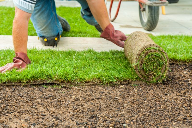 Sod Laying Service detail