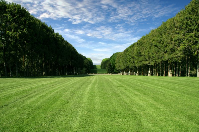 New Grass Installation