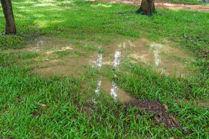 Lawn grading for proper drainage