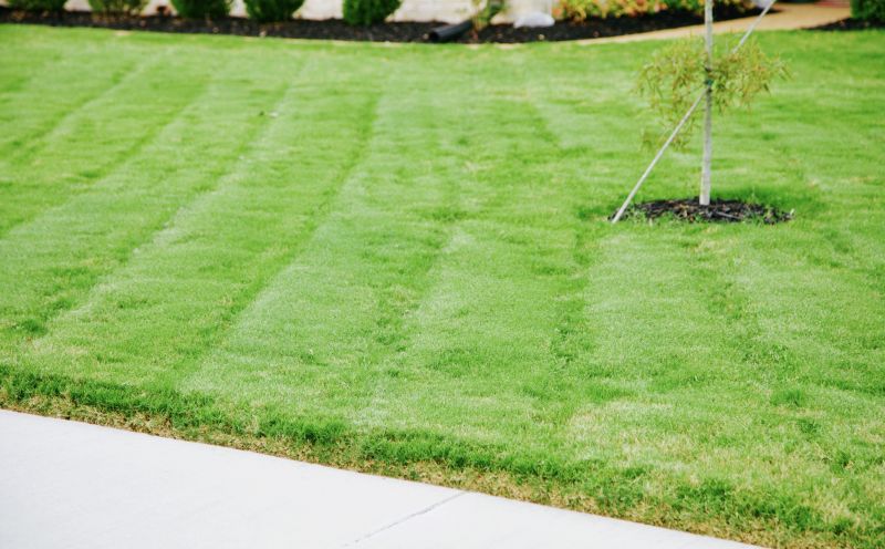 Lawn with freshly laid sod
