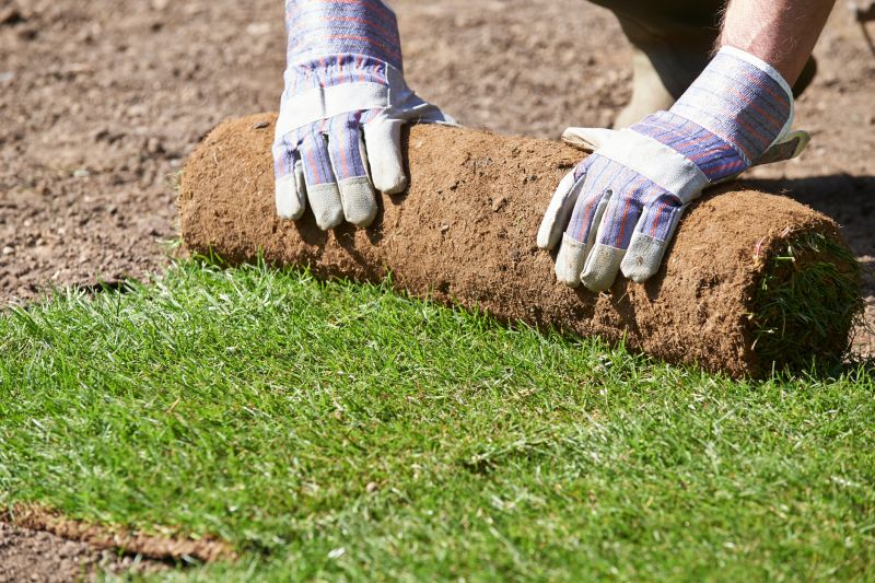 Sod Laying Service