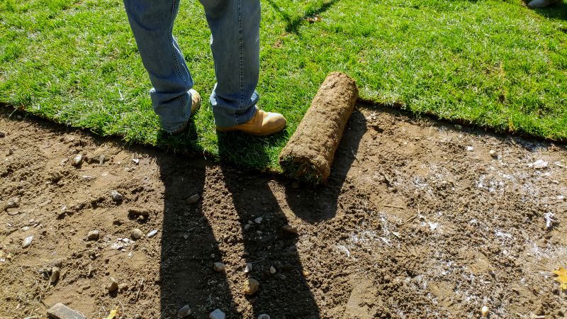 Sod Suppliers with Installation