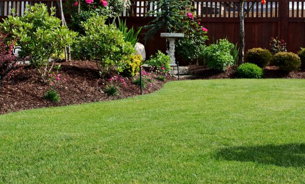Turf Replacement