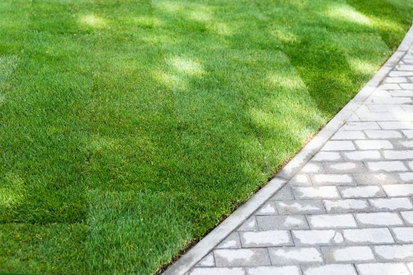 New Lawn Installation in Alpharetta