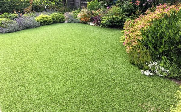 Lawn Turf Installation
