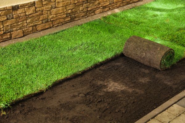 St Augustine Sod Installation in Alpharetta