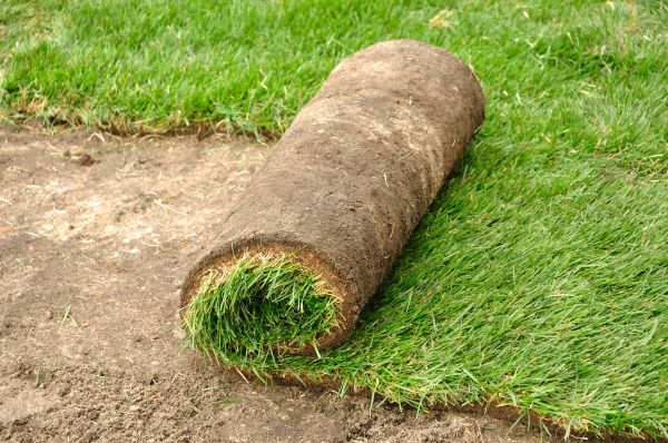 Yard Sodding Service