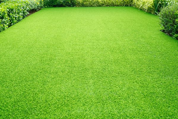 Fresh Turf Installation