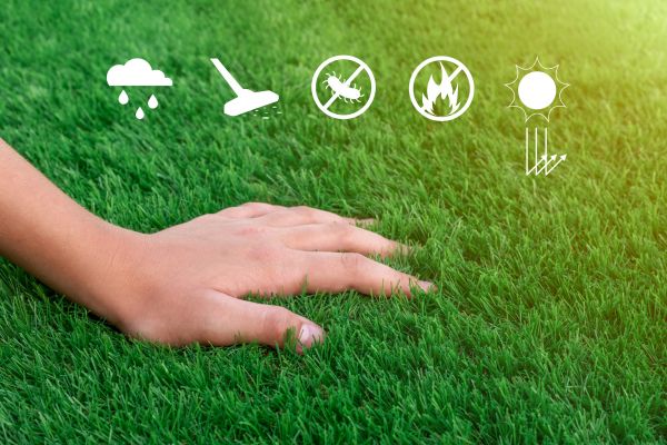 Green Turf Installation