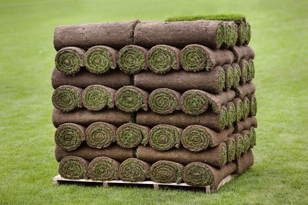 Grass Sodding