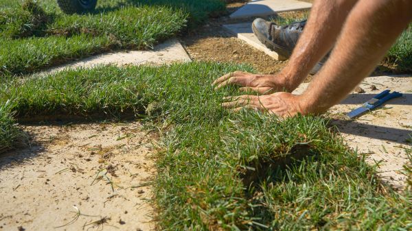 Grass Patching