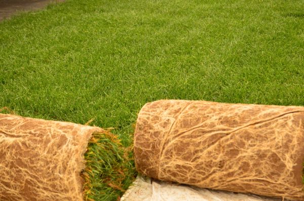Bluegrass Turf Installation