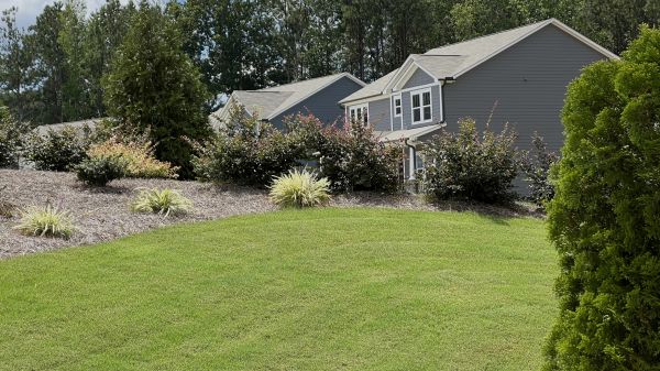 Bermuda Grass Installation in Alpharetta
