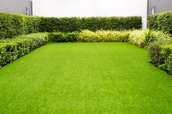 Zoysia Sod Laying