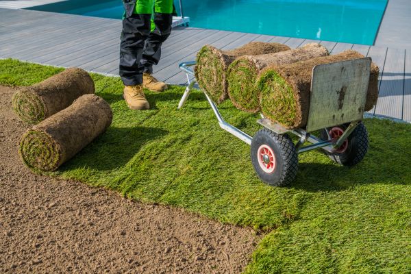 Centipede Sod Laying