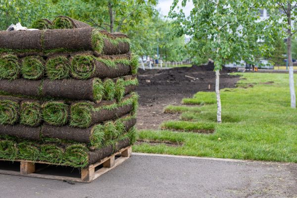 New Grass Installation in Alpharetta