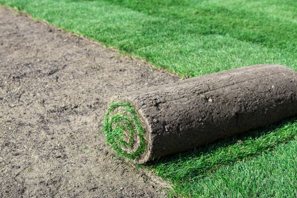 Commercial Sod Installation in Alpharetta